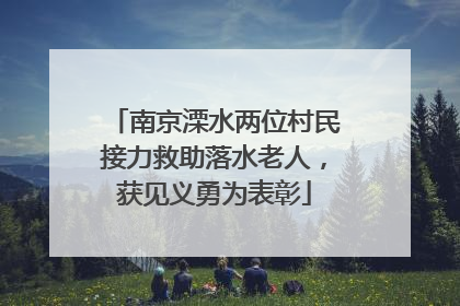 南京溧水两位村民接力救助落水老人，获见义勇为表彰