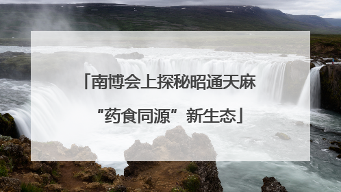 南博会上探秘昭通天麻“药食同源”新生态