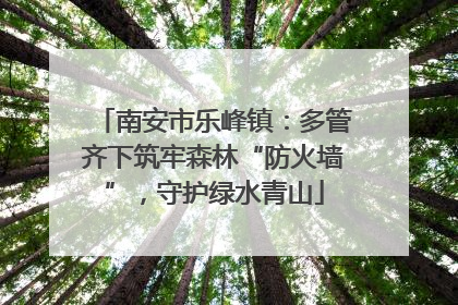 南安市乐峰镇：多管齐下筑牢森林“防火墙”，守护绿水青山