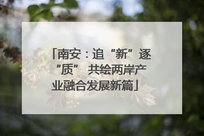 南安：追“新”逐“质” 共绘两岸产业融合发展新篇