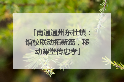 南通通州东社镇：馆校联动拓新篇，移动课堂传忠孝