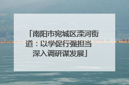 南阳市宛城区溧河街道：以学促行强担当 深入调研谋发展