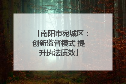 南阳市宛城区：创新监督模式 提升执法质效