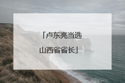 卢东亮当选山西省省长