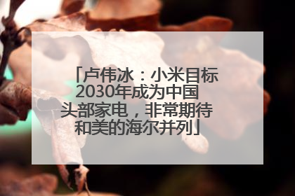 卢伟冰：小米目标2030年成为中国头部家电，非常期待和美的海尔并列