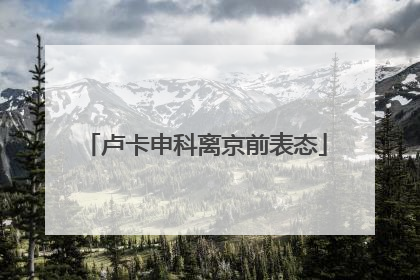 卢卡申科离京前表态
