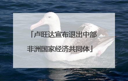 卢旺达宣布退出中部非洲国家经济共同体
