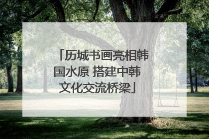 历城书画亮相韩国水原 搭建中韩文化交流桥梁