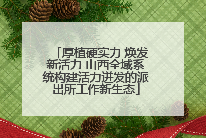 厚植硬实力 焕发新活力 山西全域系统构建活力迸发的派出所工作新生态