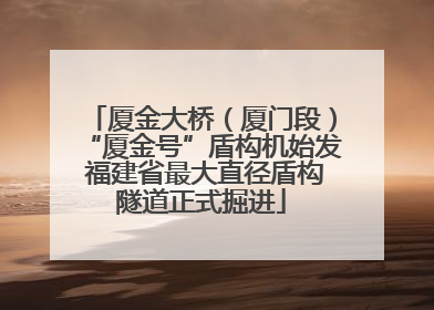 厦金大桥（厦门段）“厦金号”盾构机始发 福建省最大直径盾构隧道正式掘进