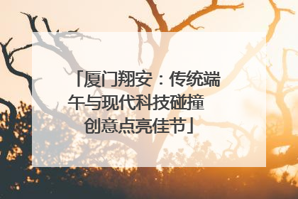 厦门翔安：传统端午与现代科技碰撞 创意点亮佳节