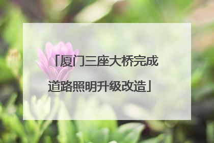 厦门三座大桥完成道路照明升级改造