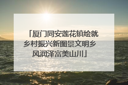 厦门同安莲花镇绘就乡村振兴新图景文明乡风润泽富美山川