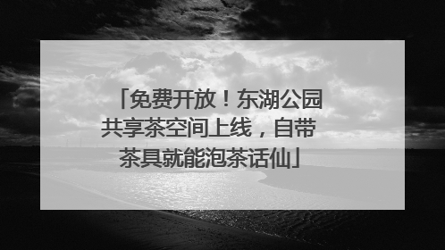 免费开放！东湖公园共享茶空间上线，自带茶具就能泡茶话仙
