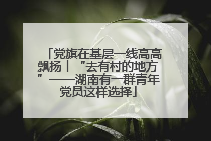 党旗在基层一线高高飘扬丨“去有村的地方”——湖南有一群青年党员这样选择