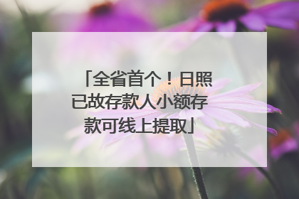 全省首个！日照已故存款人小额存款可线上提取