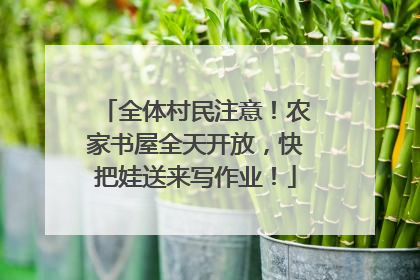 全体村民注意！农家书屋全天开放，快把娃送来写作业！