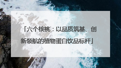 六个核桃：以品质筑基、创新领航的植物蛋白饮品标杆