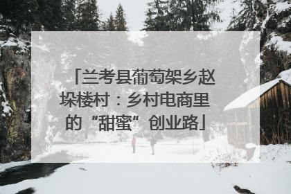 兰考县葡萄架乡赵垛楼村：乡村电商里的“甜蜜”创业路