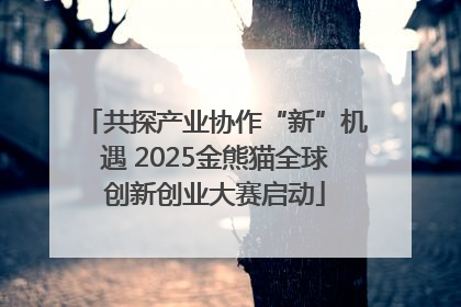 共探产业协作“新”机遇 2025金熊猫全球创新创业大赛启动