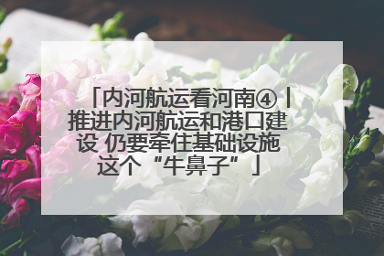 内河航运看河南④丨推进内河航运和港口建设 仍要牵住基础设施这个“牛鼻子”