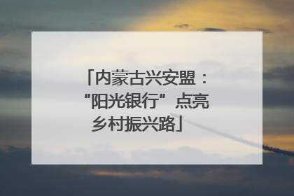 内蒙古兴安盟：“阳光银行”点亮乡村振兴路
