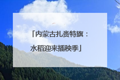 内蒙古扎赉特旗：水稻迎来插秧季