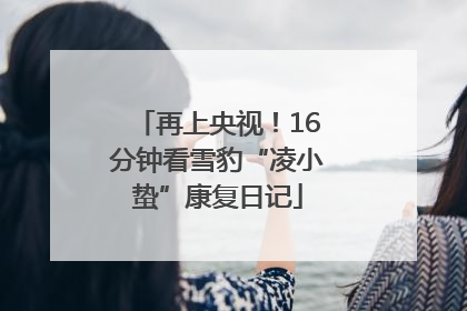 再上央视！16分钟看雪豹“凌小蛰”康复日记