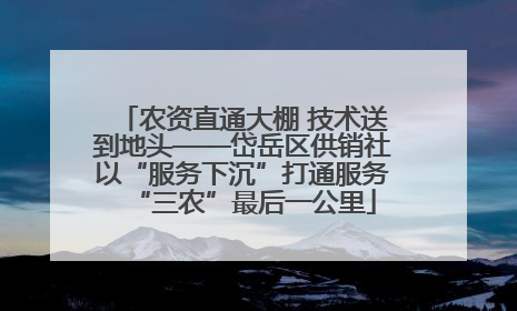 农资直通大棚 技术送到地头——岱岳区供销社以“服务下沉”打通服务“三农”最后一公里