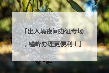 出入境夜间办证专场，错峰办理更便利！