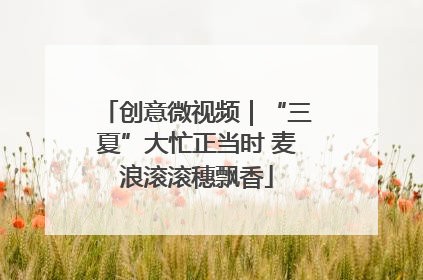 创意微视频｜“三夏”大忙正当时 麦浪滚滚穗飘香