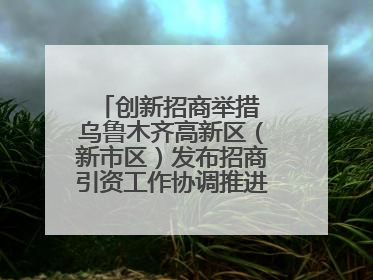 创新招商举措 乌鲁木齐高新区（新市区）发布招商引资工作协调推进机制 打造投资发展新高地