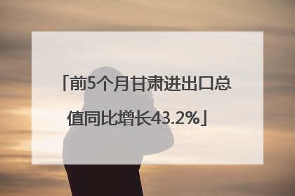 前5个月甘肃进出口总值同比增长43.2%