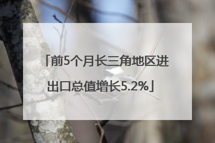 前5个月长三角地区进出口总值增长5.2%