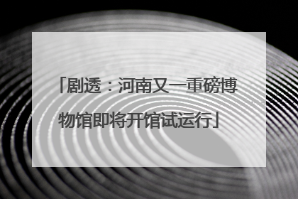 剧透：河南又一重磅博物馆即将开馆试运行