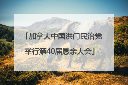 加拿大中国洪门民治党举行第40届恳亲大会