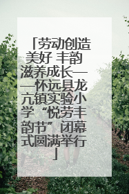 劳动创造美好 丰韵滋养成长——怀远县龙亢镇实验小学“悦劳丰韵节”闭幕式圆满举行