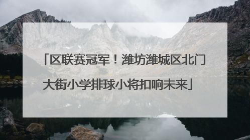 区联赛冠军！潍坊潍城区北门大街小学排球小将扣响未来