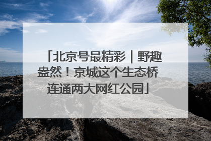 北京号最精彩｜野趣盎然！京城这个生态桥连通两大网红公园