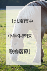 北京市中小学生篮球联赛落幕