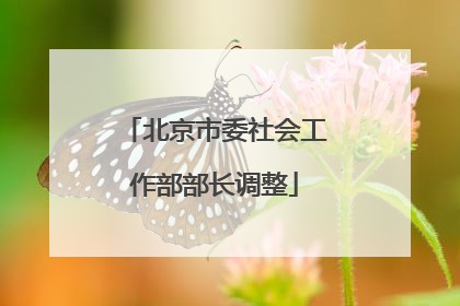 北京市委社会工作部部长调整