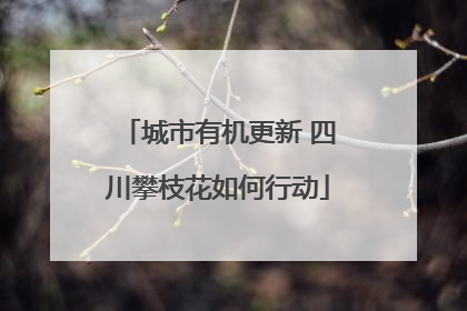城市有机更新 四川攀枝花如何行动