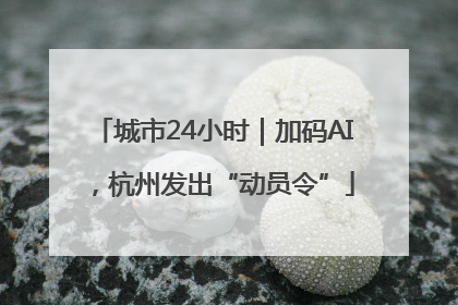 城市24小时｜加码AI，杭州发出“动员令”