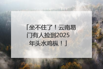 坐不住了！云南易门有人捡到2025年头水鸡枞！
