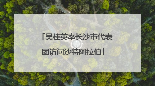 吴桂英率长沙市代表团访问沙特阿拉伯