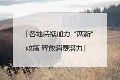 各地持续加力“两新”政策 释放消费潜力