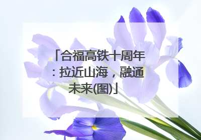 合福高铁十周年：拉近山海，融通未来(图)