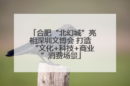 合肥“北幻城”亮相深圳文博会 打造“文化+科技+商业”消费场景