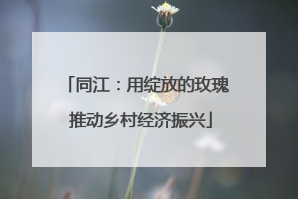 同江：用绽放的玫瑰 推动乡村经济振兴