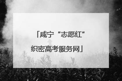 咸宁“志愿红”织密高考服务网